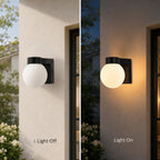 7" Modern Outdoor Wall Light with Frosted Globe, Black